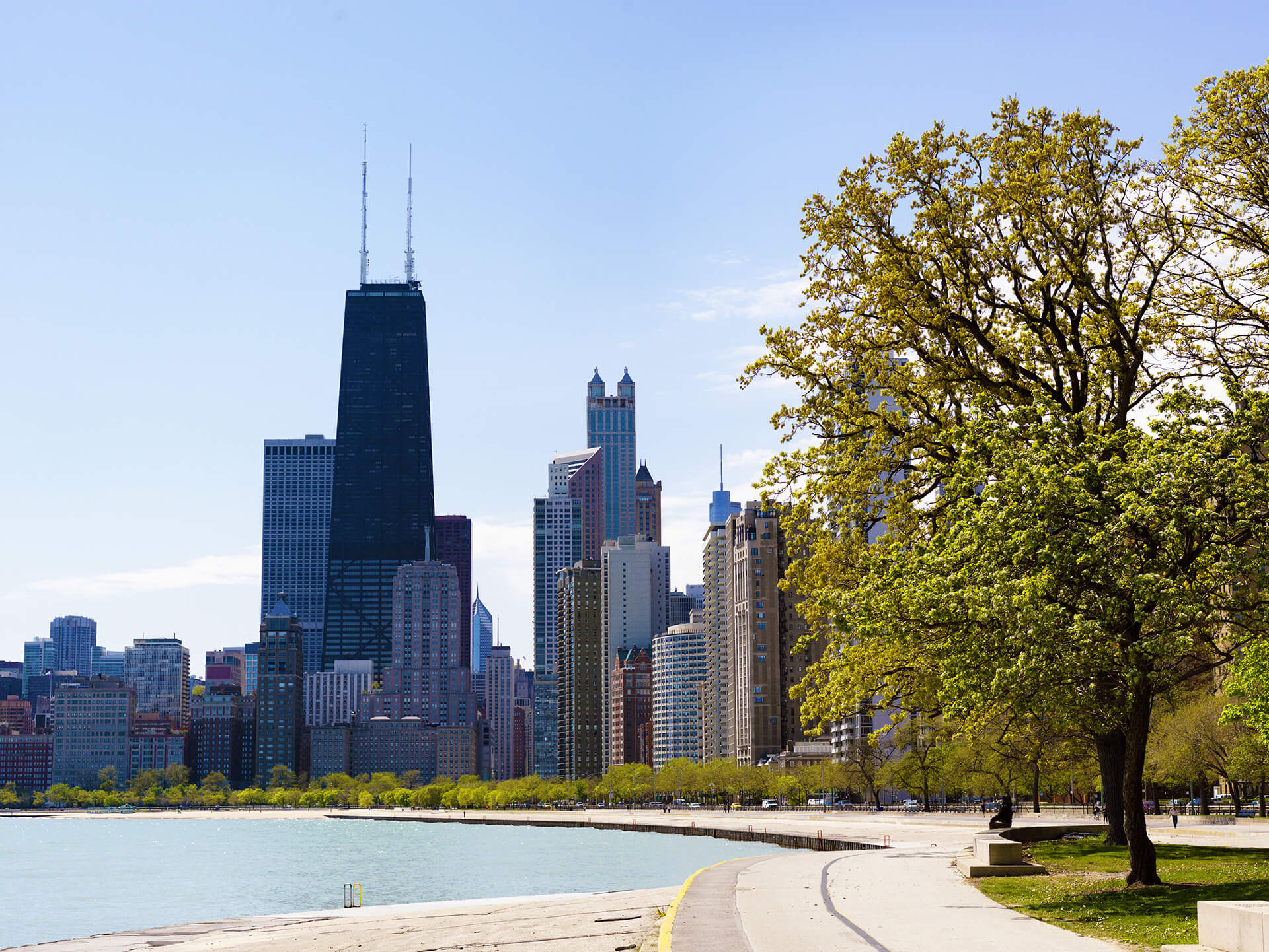 Chicago skyline from park