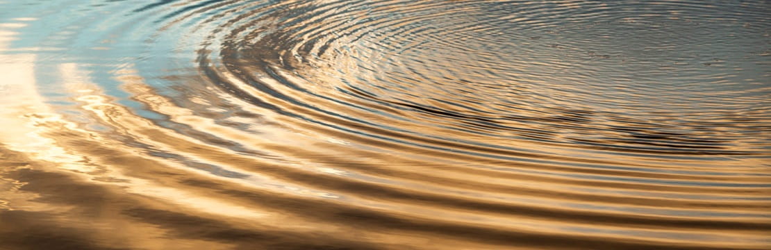 Concentric ripples spread across calm water, reflecting golden light from the setting sun.
